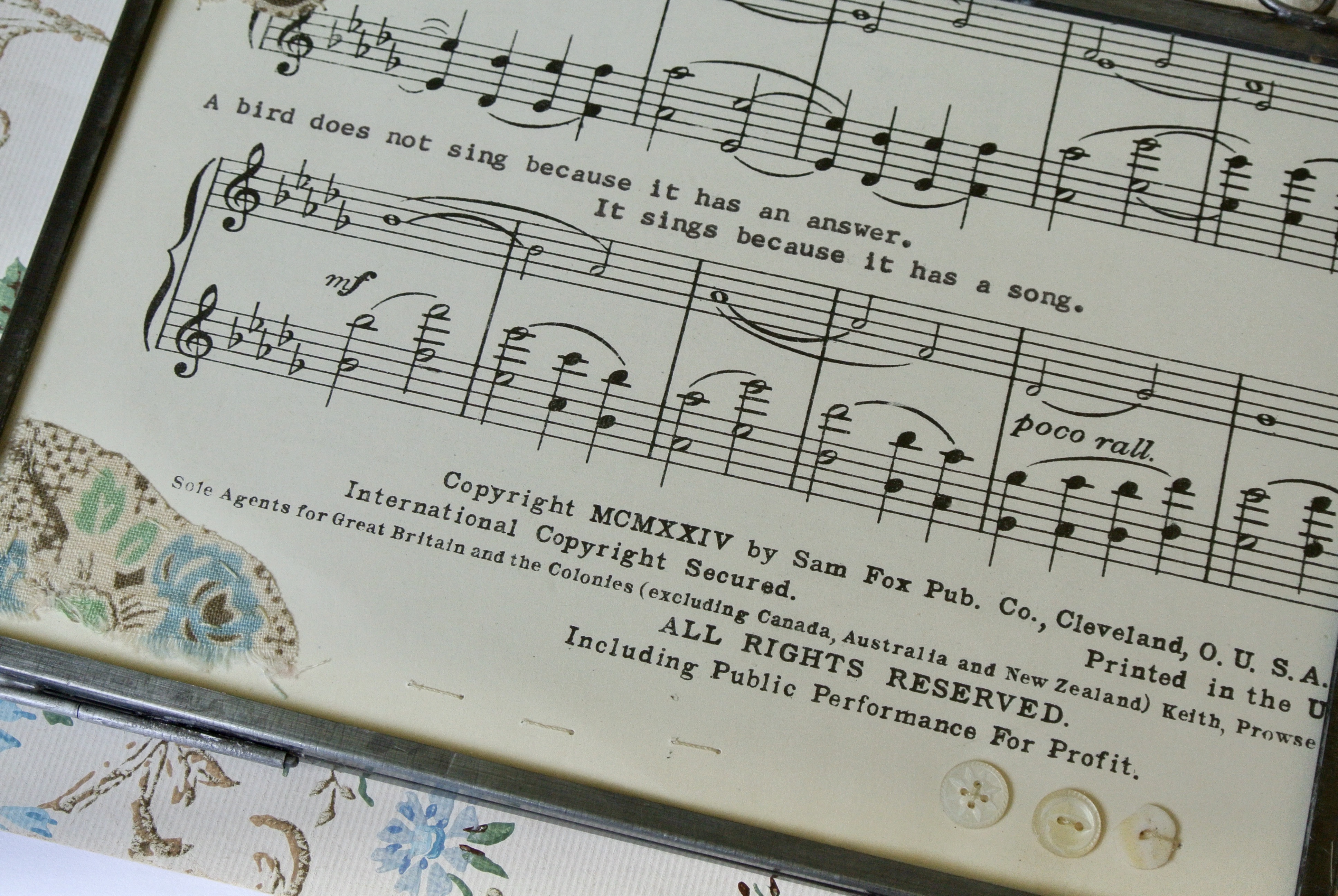 543A948A-EEDB-46EA-93DC-4AC0FA361189_1_201_a